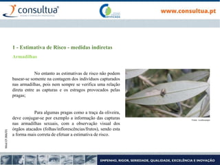 Mod.CF.066/01
1 - Estimativa de Risco - medidas indiretas
Armadilhas
No entanto as estimativas de risco não podem
basear-se somente na contagem dos indivíduos capturados
nas armadilhas, pois nem sempre se verifica uma relação
direta entre as capturas e os estragos provocados pelas
pragas;
Para algumas pragas como a traça da oliveira,
deve conjugar-se por exemplo a informação das capturas
nas armadilhas sexuais, com a observação visual dos
órgãos atacados (folhas/inflorescências/frutos), sendo esta
a forma mais correta de efetuar a estimativa de risco.
Fonte: vozdocampo
 