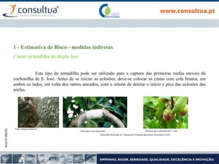 Mod.CF.066/01
1 - Estimativa de Risco - medidas indiretas
Cintas armadilha de dupla face
Este tipo de armadilha pode ser utilizado para a captura das primeiras ninfas moveis da
cochonilha de S. José. Antes de se iniciar as eclosões, deve-se colocar as cintas com cola branca, em
ambos os lados, em volta dos ramos atacados, com o intuito de detetar o início e pico das eclosões das
ninfas.
Fonte:integracaodaserra
Cinta adesiva de dupla face Sintomas da Cochonilha de S. José
Ilustrações Retiradas de Manual de Formação agricultura Sustentável, 2022
 