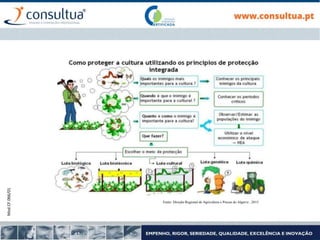 Mod.CF.066/01
Fonte: Direção Regional de Agricultura e Pescas do Algarve , 2015
 