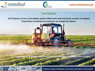 Mod.CF.066/01
Fonte: atomicagro
 