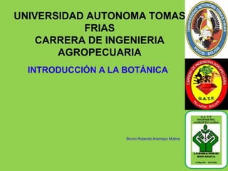 UNIVERSIDAD AUTONOMA TOMAS
FRIAS
CARRERA DE INGENIERIA
AGROPECUARIA
INTRODUCCIÓN A LA BOTÁNICA
Bruno Rolando Aramayo Molina
 