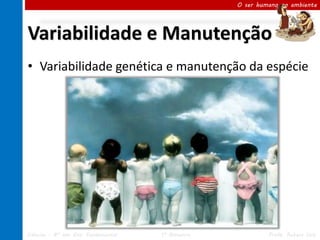O ser humano no ambiente




Variabilidade e Manutenção
• Variabilidade genética e manutenção da espécie




Ciências – 8º ano Ens. Fundamental   1º Bimestre            Profa. Rebeca Vale
 