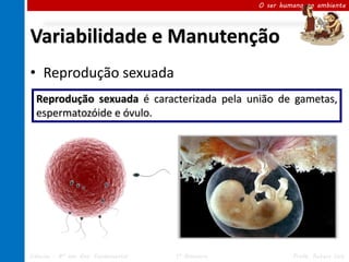 O ser humano no ambiente




Variabilidade e Manutenção
• Reprodução sexuada
  Reprodução sexuada é caracterizada pela união de gametas,
  espermatozóide e óvulo.




Ciências – 8º ano Ens. Fundamental   1º Bimestre            Profa. Rebeca Vale
 
