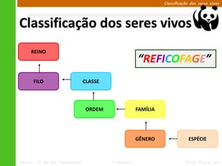 Classificação dos seres vivos




Classificação dos seres vivos
      REINO
                                                            “REFICOFAGE”
        FILO                         CLASSE




                                      ORDEM                 FAMÍLIA




                                                            GÊNERO                 ESPÉCIE



Ciências – 7º ano Ens. Fundamental            1º Bimestre                        Profa. Rebeca Vale
 