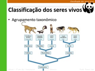 Classificação dos seres vivos




Classificação dos seres vivos
• Agrupamento taxonômico




Ciências – 7º ano Ens. Fundamental   1º Bimestre              Profa. Rebeca Vale
 