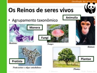 Classificação dos seres vivos




Os Reinos de seres vivos
                                                           Animalia
• Agrupamento taxonômico
                          Monera


                                     Fungi
Bactérias                                Fungos
                                                                                  Animais




                                                                          Plantae
    Protista
     Protozoários e algas unicelulares
                                                                Plantas
Ciências – 7º ano Ens. Fundamental           1º Bimestre                  Profa. Rebeca Vale
 