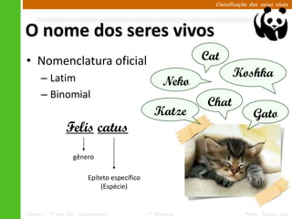 Classificação dos seres vivos




O nome dos seres vivos
• Nomenclatura oficial                                       Cat
      – Latim                                                        Koshka
                                                     Neko
      – Binomial
                                                              Chat
                                                 Katze                        Gato
                 Felis catus
                    gênero

                          Epíteto específico
                              (Espécie)


Ciências – 7º ano Ens. Fundamental             1º Bimestre                Profa. Rebeca Vale
 