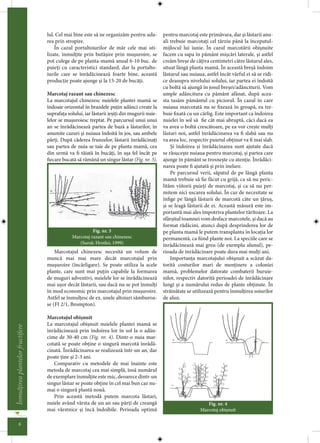 I.4 ro marcotare butasire altoire pomi fructiferi | PDF