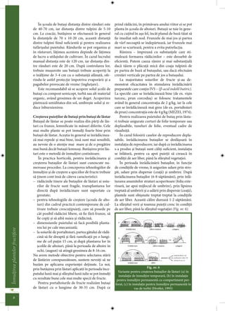 I.4 ro marcotare butasire altoire pomi fructiferi | PDF
