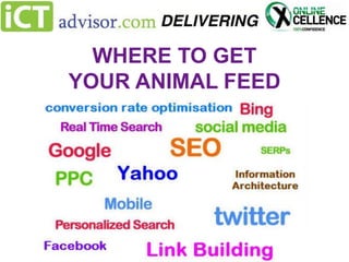 WHERE TO GET
YOUR ANIMAL FEED

 