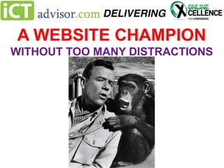 A WEBSITE CHAMPION
WITHOUT TOO MANY DISTRACTIONS

 