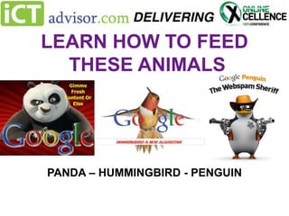 LEARN HOW TO FEED
THESE ANIMALS

PANDA – HUMMINGBIRD - PENGUIN

 