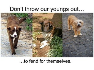 Don’t throw our youngs out… … to fend for themselves. 