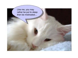 … Like me, you may rather be  put to sleep then be mistreated... 