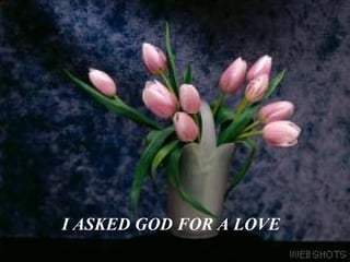 I ASKED GOD FOR A LOVE 
