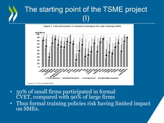 The starting point of the TSME project
                         (I)




• 50% of small firms participated in formal
  CVET...