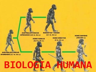 BIOLOGIA HUMANA 