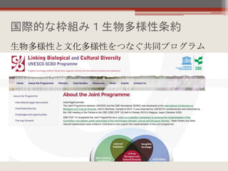 国際的な枠組み１生物多様性条約
生物多様性と文化多様性をつなぐ共同プログラム
 