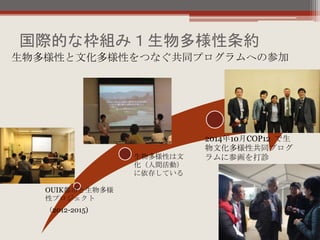 国際的な枠組み１生物多様性条約
生物多様性と文化多様性をつなぐ共同プログラムへの参加
OUIK都市と生物多様
性プロジェクト
（2012-2015)
生物多様性は文
化（人間活動）
に依存している
2014年10月COP12 で生
物文化多様性共同プログ
ラムに参画を打診
 