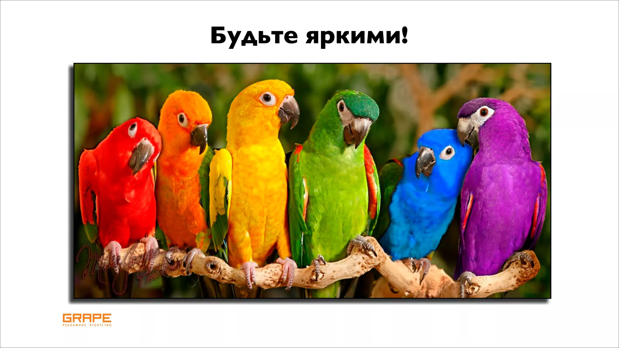 Будьте яркими!
 