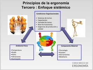 Principios de la ergonomía
            Tercero : Enfoque sistémico
                       Condiciones Organizacionales

                       •   Sistemas de turnos
                       •   Capacitación
                       •   Variedad de tareas
                       •   Nivel de Autonomía
                       •   Exigencias de producción y 
                           calidad




                                Persona

     Ambiente Físico                                       Componente Material

•Temperatura                                             •Tecnología
•Ruido                                                   •Equipos
•Polvo                                                   •Herramientas
•Vibraciones                                             •Mobiliario
•Iluminación
 