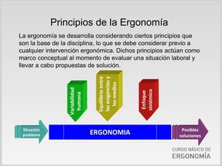 Principios de la Ergonomía
La ergonomía se desarrolla considerando ciertos principios que
son la base de la disciplina, lo que se debe considerar previo a
cualquier intervención ergonómica. Dichos principios actúan como
marco conceptual al momento de evaluar una situación laboral y
llevar a cabo propuestas de solución.




                                  Equilibrio entre 
                                  las exigencias y 
                                     los medios
                  Variabilidad




                                                       Enfoque 
                                                      sistémico
                   humana




 Situación                                                         Posibles 
 problema                        ERGONOMIA                        soluciones
 