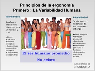 Principios de la ergonomía
         Primero : La Variabilidad Humana
Interindividual                               Intraindividual

Se refiere al                                 Se relaciona con 
análisis de las                               los cambios de 
diferencias entre                             una persona en 
un individuo y                                el tiempo :
otro:
                                              •Ritmos biológicos
•Género                                       •Formación 
•Lateralidad                                  profesional
•Funciones                                    •Experiencia
perceptivas                                   •Entrenamiento
•Caracteristicas                              •Antecedentes 
biomecánicas y                                personales y 
fisiológicas                                  familiares
•Características 
antropométricas
                     El ser humano promedio   •Antecedentes 
                                              culturales y 
                                              sociales

                           No existe
 