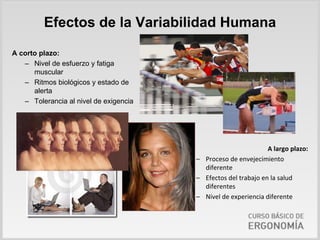 Efectos de la Variabilidad Humana

A corto plazo:
   – Nivel de esfuerzo y fatiga
      muscular
   – Ritmos biológicos y estado de
      alerta
   – Tolerancia al nivel de exigencia




                                                                A largo plazo:
                                        – Proceso de envejecimiento 
                                          diferente
                                        – Efectos del trabajo en la salud 
                                          diferentes
                                        – Nivel de experiencia diferente
 