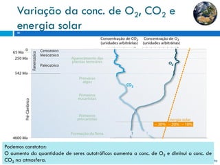 Variação da conc. de O2, CO2e energia solar 
20 
Profª Sandra Nascimento 
Podemosconstatar: 
Oaumentodaquantidadedeseresautotróficosaumentaaconc.deO2ediminuiaconc.deCO2naatmosfera.  