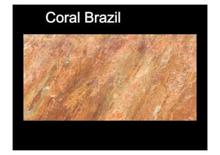 Coral Brazil
 