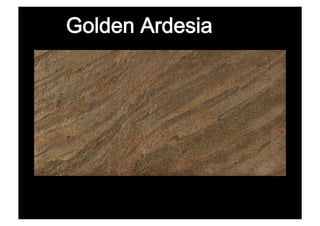 Golden Ardesia
 