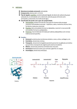 III. PRÓTIDOS:
➔ Monómero(unidade estrutural): aminoácido.
➔ Componentes:átomosde C, H, O e N.
➔ Tipo de ligação: peptídica,caracterizadapela ligação do átomode carbonodo grupo
carboxilo de um aminoácido com o átomode azotodo grupo aminode outro
aminoácido, produzindoumamolécula de água.
➔ Classificadosde acordo com o grau de complexidade:
► Aminoácidos:existemcercade 20, dosquais 8 o homemnãoconsegue
sintetizar (aminoácidosessenciais – triptofano,valina, metionina,leucina,lisina,
ferrilanina, isoleucina,treonina).
► Péptidos:dois aminoácidosformamos dipéptidos, mais de 2 e menosde 100
aminoácidos formamos polipéptidos.
► Proteínas:macromoléculas formadasporcadeias polipeptídicas com arranjo
tridimensionalespecífico.
➔ Funções:
► Estrutural: proteínasdasmembranascelulares,ossos,unhas,cartilagens,etc.
► Enzimática, atravésdas enzimas.
► Transporte, atravésda hemoglobina(proteínapresente nosglóbulosvermelhos
que permite o transporte de oxigéniopelosistemacirculatório.
► Motora, atravésdas proteínascontrácteisdos músculos.
► Hormonal atravésda insulina que controla a glicémia no sangue.
► Imunológica,atravésdosanticorpos.
Dipéptido
Proteína
 