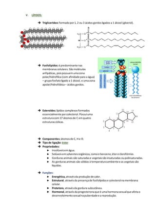 V. LÍPIDOS:
➔ Triglicerídeo:formadopor1, 2 ou 3 ácidos gordosligados a 1 álcool (glicerol).
➔ Fosfolípidos:é predominante nas
membranascelulares.Sãomoléculas
anfipáticas, poispossuemumazona
polar/hidrofílica (com afinidade para a água)
– grupofosfatoligado a 1 álcool, e uma zona
apolar/hidrofóbica– ácidos gordos.
➔ Esteroides:lípidos complexos formados
essencialmente porcolesterol.Possuiuma
estruturacom 17 átomosde C emquatro
estruturascíclicas.
➔ Componentes:átomosde C, H e O.
➔ Tipo de ligação: éster
➔ Propriedades:
► Insolúveisemágua.
► Solúveisemsolventesorgânicos,comoo benzeno,étere clorofórmio.
► Gorduras animais são saturadase vegetaissãoinsaturadas oupolinsaturadas.
► As gordurasanimais são sólidas à temperaturaambiente e as vegetaissão
líquidas.
➔ Funções:
► Energética, atravésda produção de calor.
► Estrutural, atravésda presençade fosfolípidose colesterolna membrana
celular.
► Protetora, atravésda gordura subcutânea.
► Hormonal,atravésda progesteronaque é umahormonasexualque afetao
desenvolvimentosexualnapuberdade e a reprodução.
 