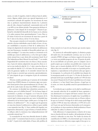 Documento descargado de http://www.apunts.org el 13/12/2011. Copia para uso personal, se prohíbe la transmisión de este documento por cualquier medio o formato.



                                                                                                                                                                                                    41
                                                                                                                                           REVISIÓN




            mente, en todo el esqueleto, desde la infancia hasta la adoles-
                                                                                                               Figura 1            Cambios en la geometría ósea
            cencia. Algunas edades tienen una especial importancia en el                                                           del adolescente.
            crecimiento acelerado del esqueleto, los incrementos de masa
                                                                                                                                       Incremento en tamaño y grueso trabecular
            ósea se producen mayoritariamente durante los 2 primeros
            años de vida y durante la pubertad1, aumentando entre un 40
                                                                                                                Columna
            y un 60% en este último período. Estas ganancias declinan rá-                                       vertebral
            pidamente 2 años después de la menarquia2,3. Durante la pu-
            bertad la velocidad del desarrollo de los huesos en la columna
                                                                                                                                           Incremento en longitud y diámetro
            y la cadera aumenta hasta aproximadamente 5 veces. Boot et
            al4 sitúan el inicio de este incremento de masa ósea a partir de                                    Huesos
            los 11 años en las chicas y de los 13 en los chicos.                                                largos

                 Hay una gran variación en el contenido y densidad ósea en
            relación a factores individuales como la edad y el sexo, y la ma-
            yor variabilidad se encuentra al final de la adolescencia. El
            tiempo de adquisición de mineral óseo durante la adolescencia                                 forma natural en el caso de una fractura que necesita repara-
            está más firmemente vinculado al desarrollo puberal que a la                                  ción (fig. 2).
            edad cronológica5,6. La masa ósea retarda su crecimiento en la                                     En ausencia de enfermedad orgánica, la dinámica propia
            medida que avanza la adolescencia, y se ha visto que la adqui-                                del tejido óseo, de remodelación continua, una vez se ha al-
            sición mineral ósea va por detrás del crecimiento lineal. En el                               canzado el PMO, da lugar a un balance negativo de masa ósea
            The Saskatchewan Bone Mineral Accrual Study5,7,8, un estudio                                  y se inicia una pérdida progresiva de ésta. El patrón de pérdi-
            longitudinal del crecimiento óseo con chicos y chicas caucasia-                               da no está definido con precisión, pero en cualquier caso se
            nos, el pico de máxima adquisición ósea para los chicos se si-                                puede aceptar que se produce una pérdida más o menos uni-
            tuó en una media de edad de 14 ± 1 años y para las chicas en                                  forme, que se situaría alrededor del 0,5-1% anual. Esta pér-
            una media de edad de 12,5 ± 0,9 años. De esta manera, la ma-                                  dida se hace más ostensible en la mujer en el período perime-
            yoría de ganancias rápidas en el contenido mineral óseo de                                    nopáusico, y especialmente en los primeros años que siguen a
            todo el cuerpo se encontró que acontecían, aproximadamente,                                   la menopausia. La aceleración de la pérdida ósea después de
            0,7 años después de que se consiguiese el pico de crecimiento                                 la menopausia puede ser de unos 5 a 10 años de duración, al
            en altura5.                                                                                   principio de los que se puede llegar a perder un 5-8% de masa
                 Diversos estudios postulan que el aumento de la densidad                                 ósea anual. Después de los 65 años la pérdida ósea en la mujer
            mineral ósea (DMO) durante el crecimiento sigue una trayec-                                   se enlentece y se hace lineal, hasta alcanzar, al igual que en
            toria lineal positiva hasta aproximadamente los 20 años9, des-                                el varón, un ritmo de pérdida anual de aproximadamente el
            pués de los cuales el pico de masa ósea (PMO) se estabiliza.                                  0,7%.
                 En contraste, la densidad ósea volumétrica aumenta en la                                      La involución que se produce con la edad se manifiesta por
            columna, pero no la diáfisis femoral10. En los huesos largos el                               una marcada reducción de la cantidad de hueso esponjoso y
            crecimiento se produce en longitud y en el área de sección                                    una disminución en el espesor del hueso cortical. Estos cam-
            transversal y/o diámetro, sin que el aumento del grueso de la                                 bios disminuyen la resistencia y la rigidez ósea. Las pérdidas re-
            cortical siga la misma proporción; por tanto, la densidad ósea                                lacionadas con la edad se concentran más en el hueso trabecu-
            volumétrica de los huesos largos cambia poco a lo largo de la                                 lar que en el cortical. A lo largo de la vida la mujer puede llegar
            infancia y la adolescencia10,11. Así, se sugiere que las ganancias                            a perder el 50% de masa ósea trabecular y el 35% de la corti-
            en masa ósea durante la adolescencia se deben en gran medida                                  cal. Es por esto que las fracturas relacionadas con la osteoporo-
            a una expansión ósea (fig. 1). Estos cambios del esqueleto son                                sis se producen en áreas anatómicas donde predomina el hueso
            importantes clínicamente, ya que la forma y el tamaño del hue-                                trabecular: la cadera, la columna y la muñeca.
            so influyen sobre la resistencia ósea independientemente del                                       Cabe diferenciar el comportamiento evolutivo de la masa
            contenido mineral óseo12,13.                                                                  ósea en función del área de estudio y del predominio de hueso
                 La acumulación de masa ósea obtenida durante la adoles-                                  cortical o trabecular en estas áreas. Por medio de técnicas de
            cencia tardía2,14 se mantiene hasta la tercera o cuarta décadas de                            cuantificación de DMO, se ha determinado que la masa ósea
            la vida14. A partir de la edad adulta el hueso sólo prolifera de                              máxima se alcanza en diferentes etapas; según el área que se va-

                                                                                                   A P U N T S .     M E D I C I N A     D E    L ’ E S P O R T .   2 0 0 7 ;   1 5 3 :   4 0 - 6
 