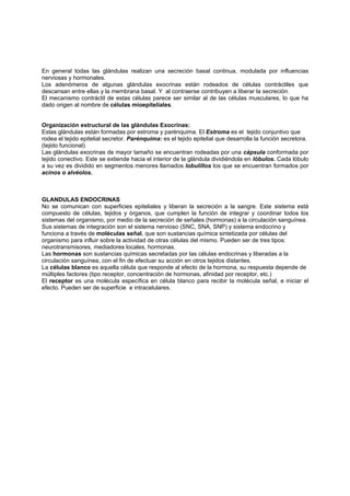 En general todas las glándulas realizan una secreción basal continua, modulada por influencias
nerviosas y hormonales.
Los adenómeros de algunas glándulas exocrinas están rodeados de células contráctiles que
descansan entre ellas y la membrana basal. Y al contraerse contribuyen a liberar la secreción.
El mecanismo contráctil de estas células parece ser similar al de las células musculares, lo que ha
dado origen al nombre de células mioepiteliales.


Organización estructural de las glándulas Exocrinas:
Estas glándulas están formadas por estroma y parénquima. El Estroma es el tejido conjuntivo que
rodea el tejido epitelial secretor. Parénquima: es el tejido epitelial que desarrolla la función secretora.
(tejido funcional).
Las glándulas exocrinas de mayor tamaño se encuentran rodeadas por una cápsula conformada por
tejido conectivo. Este se extiende hacia el interior de la glándula dividiéndola en lóbulos. Cada lóbulo
a su vez es dividido en segmentos menores llamados lobulillos los que se encuentran formados por
acinos o alvéolos.



GLANDULAS ENDOCRINAS
No se comunican con superficies epiteliales y liberan la secreción a la sangre. Este sistema está
compuesto de células, tejidos y órganos, que cumplen la función de integrar y coordinar todos los
sistemas del organismo, por medio de la secreción de señales (hormonas) a la circulación sanguínea.
Sus sistemas de integración son el sistema nervioso (SNC, SNA, SNP) y sistema endocrino y
funciona a través de moléculas señal, que son sustancias química sintetizada por células del
organismo para influir sobre la actividad de otras células del mismo. Pueden ser de tres tipos:
neurotransmisores, mediadores locales, hormonas.
Las hormonas son sustancias químicas secretadas por las células endocrinas y liberadas a la
circulación sanguínea, con el fin de efectuar su acción en otros tejidos distantes.
La células blanco es aquella célula que responde al efecto de la hormona, su respuesta depende de
múltiples factores (tipo receptor, concentración de hormonas, afinidad por receptor, etc.)
El receptor es una molécula específica en célula blanco para recibir la molécula señal, e iniciar el
efecto. Pueden ser de superficie e intracelulares.
 