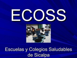 ECOSS
Escuelas y Colegios Saludables
          de Sicalpa
 