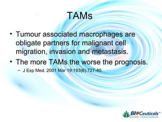 TAMs
• Tumour associated macrophages are
obligate partners for malignant cell
migration, invasion and metastasis.
• The more TAMs the worse the prognosis.
– J Exp Med. 2001 Mar 19;193(6):727-40.
 