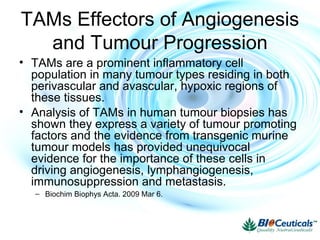 TAMs Effectors of Angiogenesis
and Tumour Progression
• TAMs are a prominent inflammatory cell
population in many tumour types residing in both
perivascular and avascular, hypoxic regions of
these tissues.
• Analysis of TAMs in human tumour biopsies has
shown they express a variety of tumour promoting
factors and the evidence from transgenic murine
tumour models has provided unequivocal
evidence for the importance of these cells in
driving angiogenesis, lymphangiogenesis,
immunosuppression and metastasis.
– Biochim Biophys Acta. 2009 Mar 6.
 