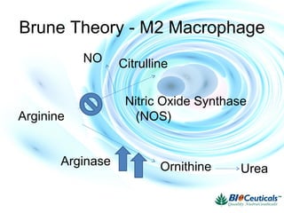 Brune Theory - M2 Macrophage
Citrulline
Ornithine
NO
Urea
Arginase
Nitric Oxide Synthase
(NOS)Arginine
 