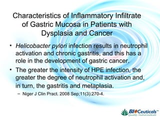 • Helicobacter pylori infection results in neutrophil
activation and chronic gastritis, and this has a
role in the development of gastric cancer.
• The greater the intensity of HPE infection, the
greater the degree of neutrophil activation and,
in turn, the gastritis and metaplasia.
– Niger J Clin Pract. 2008 Sep;11(3):270-4.
Characteristics of Inflammatory Infiltrate
of Gastric Mucosa in Patients with
Dysplasia and Cancer
 
