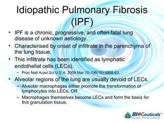 Idiopathic Pulmonary Fibrosis
(IPF)
• IPF is a chronic, progressive, and often fatal lung
disease of unknown aetiology.
• Characterised by onset of infiltrate in the parenchyma of
the lung tissue.
• This infiltrate has been identified as lymphatic
endothelial cells (LECs).
– Proc Natl Acad Sci U S A. 2009 Mar 10;106(10):3958-63.
• Alveolar regions of the lung are usually devoid of LECs.
– Alveolar macrophages either promote the transformation of
lymphocytes into LECs, OR
– Macrophages themselves become LECs and form the basis for
this granulation tissue.
 