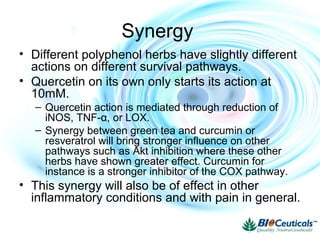 Synergy
• Different polyphenol herbs have slightly different
actions on different survival pathways.
• Quercetin on its own only starts its action at
10mM.
– Quercetin action is mediated through reduction of
iNOS, TNF-α, or LOX.
– Synergy between green tea and curcumin or
resveratrol will bring stronger influence on other
pathways such as Akt inhibition where these other
herbs have shown greater effect. Curcumin for
instance is a stronger inhibitor of the COX pathway.
• This synergy will also be of effect in other
inflammatory conditions and with pain in general.
 