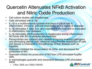 Quercetin Attenuates NFkB Activation
and Nitric Oxide Production
• Cell culture studies with hepatocytes.
• Cells stimulated with IL-1β.
• IL-1β is a multifunctional cytokine that plays a critical role in
inflammation, immunity, antiviral responses, and a variety of diseases.
• IL-1β stimulates T cells. It is very important in the liver and is implicated
in inflammatory liver diseases.
• IL-1β stimulates iNOS production in hepatocytes during inflammation.
NO binds with SO2 to produce peroxynitrites.
• Peroxynitrites are cytotoxic and capable of injuring invading pathogens
and eliminating altered cells. However indiscriminate destruction of cells
and tissues is implicated in the pathology of liver disease such as
hepatitis.
• Quercetin inhibited the accumulation of nitrite, and decreased the
production of NO.
• Quercetin inhibits the production of NO from LPS stimulated Kupffer
cells.
• In macrophages quercetin and resveratrol decrease LPS stimulated
iNOS.
– J Nutr. 2005 Jun;135(6):1359-65.
 