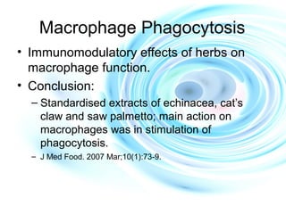 Macrophage Phagocytosis
• Immunomodulatory effects of herbs on
macrophage function.
• Conclusion:
– Standardised extracts of echinacea, cat’s
claw and saw palmetto; main action on
macrophages was in stimulation of
phagocytosis.
– J Med Food. 2007 Mar;10(1):73-9.
 