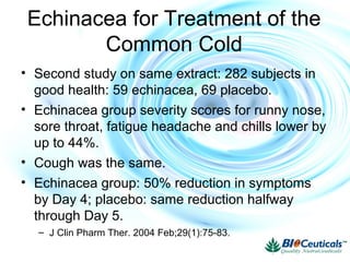 Echinacea for Treatment of the
Common Cold
• Second study on same extract: 282 subjects in
good health: 59 echinacea, 69 placebo.
• Echinacea group severity scores for runny nose,
sore throat, fatigue headache and chills lower by
up to 44%.
• Cough was the same.
• Echinacea group: 50% reduction in symptoms
by Day 4; placebo: same reduction halfway
through Day 5.
– J Clin Pharm Ther. 2004 Feb;29(1):75-83.
 
