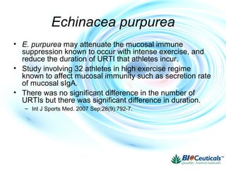Echinacea purpurea
• E. purpurea may attenuate the mucosal immune
suppression known to occur with intense exercise, and
reduce the duration of URTI that athletes incur.
• Study involving 32 athletes in high exercise regime
known to affect mucosal immunity such as secretion rate
of mucosal sIgA.
• There was no significant difference in the number of
URTIs but there was significant difference in duration.
– Int J Sports Med. 2007 Sep;28(9):792-7.
 