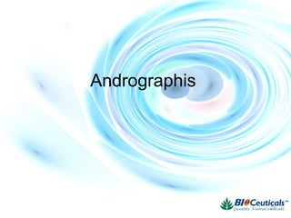Andrographis
77
 
