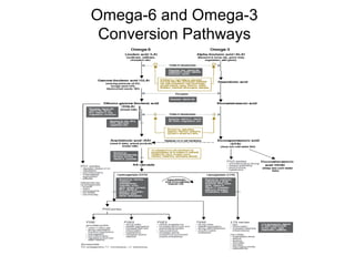 Omega-6 and Omega-3
Conversion Pathways
 