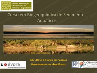 Curso em Biogeoquímica de Sedimentos
              Aquáticos




          Rita Maria Ferreira da Fonseca
           Departamento de Geociências
 