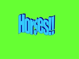 Horses!! 